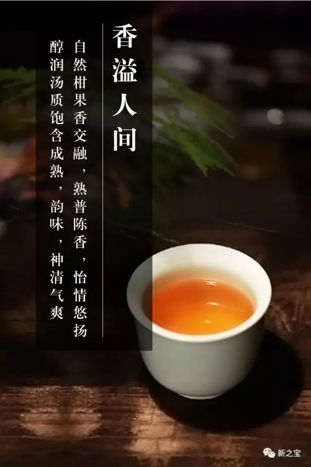 柑普当红，柑沁浓情